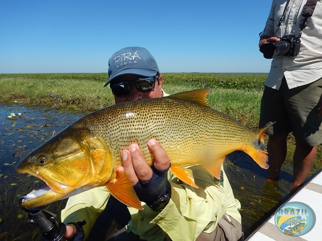 PIRA LODGE - Pantanal Argentino - Temporada 2.016